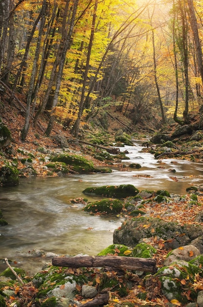 Paesaggio autunnale Composizione della natura Fiume nel canyon