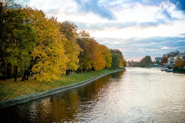 Paesaggio autunnale con alberi gialli sul fiume in tempo soleggiato riflesso di un albero nel fiume