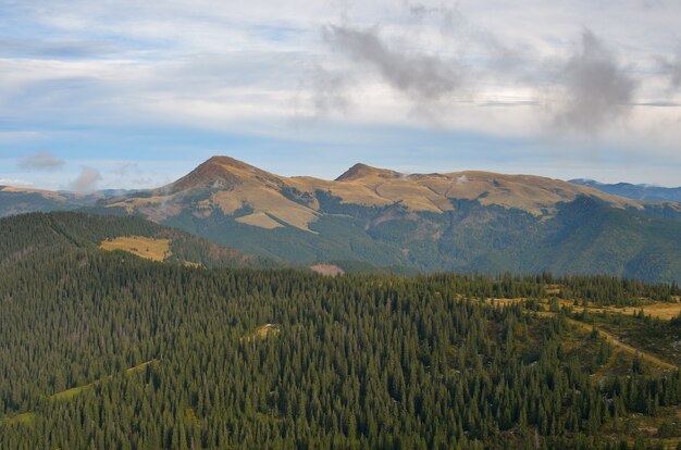 Paesaggio autunnale con montagne e pinete,