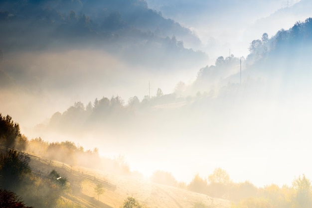 Paesaggio autunnale con nebbia in montagna Foresta di abeti sulle colline Carpazi Ucraina Europa