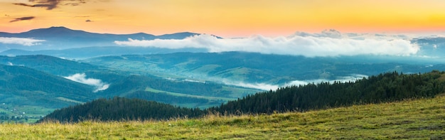 Paesaggio autunnale con nebbia in montagna Foresta di abeti sulle colline