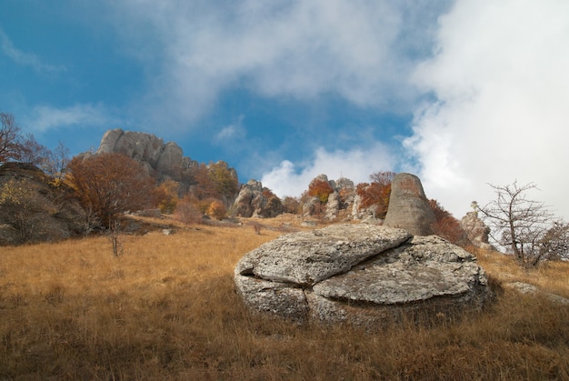 Paesaggio autunnale con nuvole ed erba gialla.