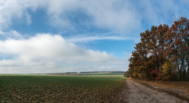 Paesaggio autunnale con strada sul campo