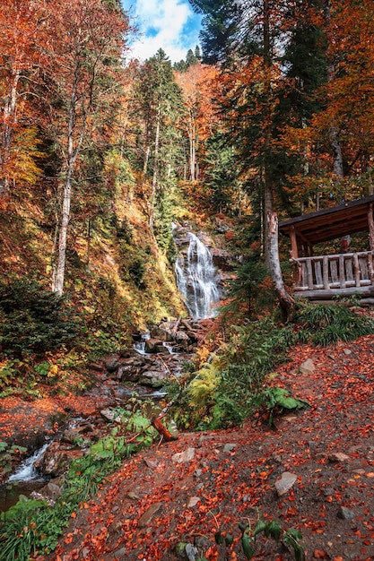 Paesaggio autunnale con una cascata di foresta