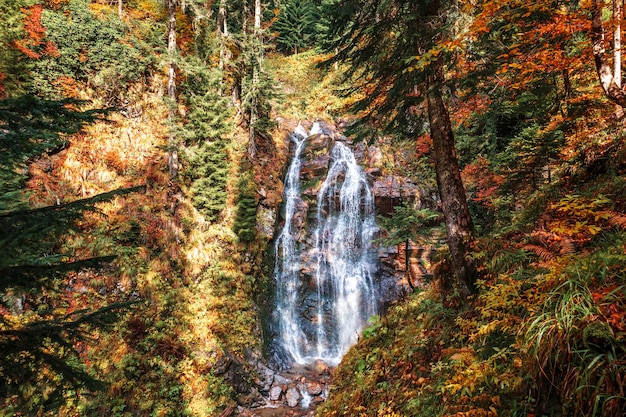 Paesaggio autunnale con una cascata nella foresta. Bellissimo autunno luminoso nelle montagne del Caucaso.