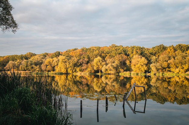 Paesaggio autunnale con una foresta su uno sfondo naturale del lago