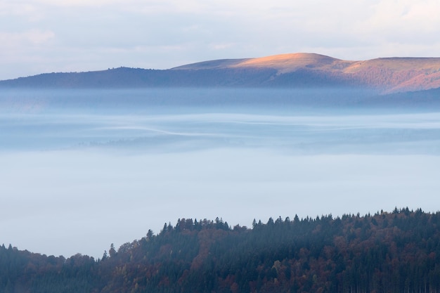 Paesaggio autunnale con vista sulla cima della montagna. Nebbia mattutina e i primi raggi del sole nascente