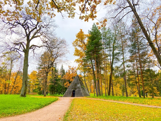 Paesaggio autunnale del parco Vicoli del parco Una passeggiata nel parco Un articolo sull'autunno