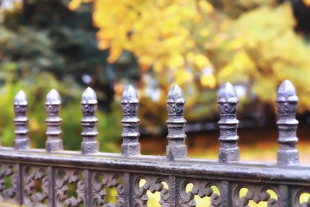 paesaggio autunnale del Peterhof / parco autunnale a Pietroburgo, stagione autunnale nel parco giallo