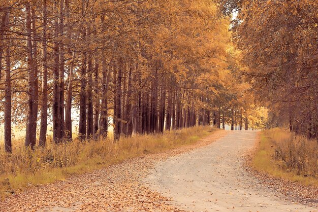 Paesaggio autunnale dell'autostrada