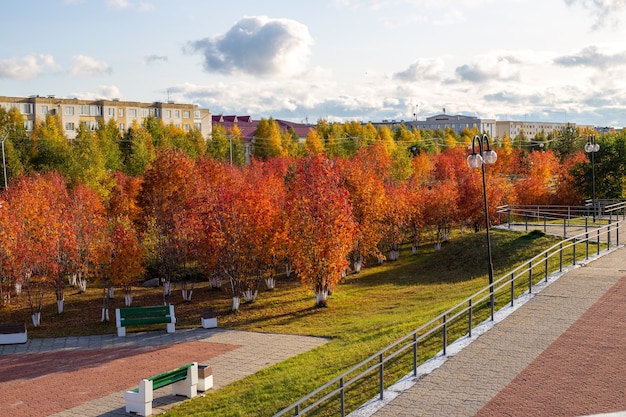 Paesaggio autunnale della città. Rowan alberi rossi nel parco in una giornata di sole