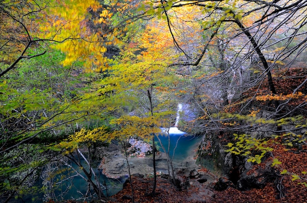Paesaggio autunnale della Riserva Naturale del Fiume Urederra. Navarra. Spagna