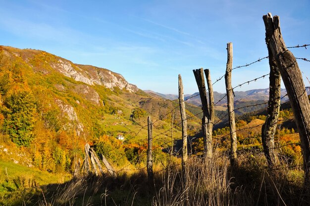 Paesaggio autunnale di montagna con foresta