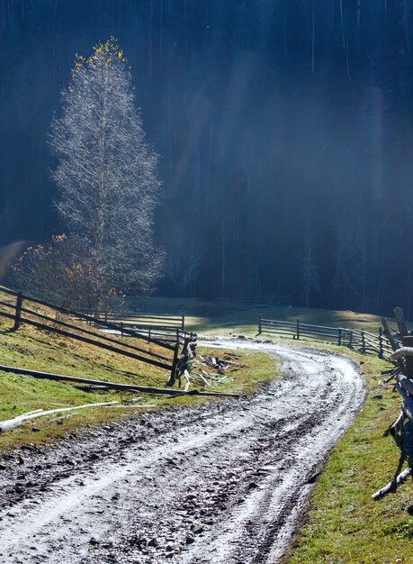 Paesaggio autunnale di montagna dei Carpazi con strada rurale (Ucraina)