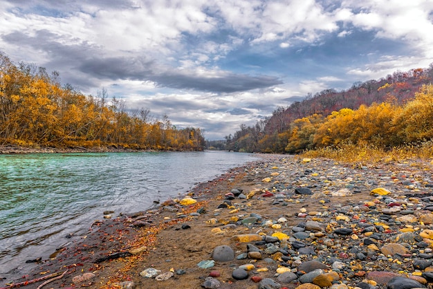 Paesaggio autunnale di un fiume di montagna con sponde ricoperte di foresta