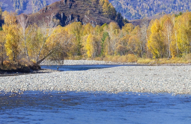 Paesaggio autunnale Fiume di montagna