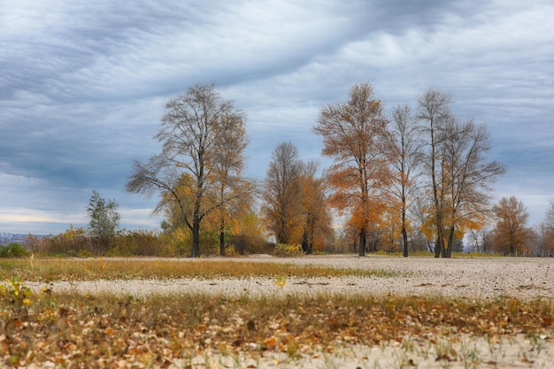 paesaggio autunnale fuori città