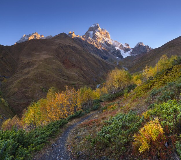 Paesaggio autunnale Il sentiero in montagna Bosco di betulle sul pendio Vista del monte Ushba Mattinata soleggiata Cresta principale del Caucaso Zemo Svaneti Georgia