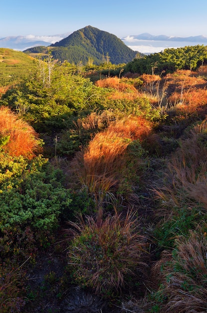 Paesaggio autunnale in montagna. Il vento fa frusciare l'erba secca