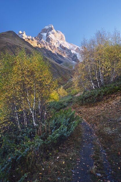 Paesaggio autunnale in montagna