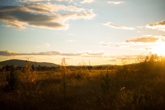 Paesaggio autunnale in un campo con erba ingiallita la sera, Russia, Ural, settembre