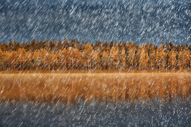 paesaggio autunnale natura gocce di pioggia tempo umido panorama all'aperto vista tempo autunnale