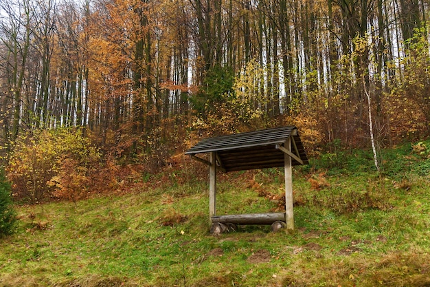 Paesaggio autunnale nei Carpazi ucraini occidentali