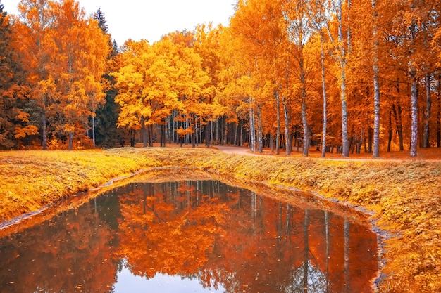 Paesaggio autunnale nel parco con uno stagno e una riflessione in esso.