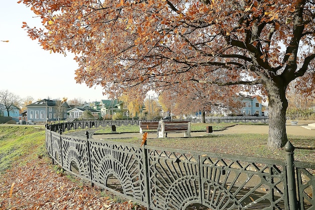 paesaggio autunnale nel parco / paesaggio giallo stagionale parco soleggiato con foglie cadute