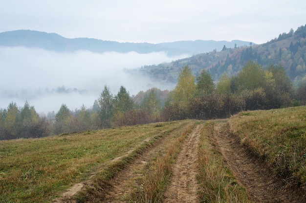 Paesaggio autunnale una giornata nuvolosa. La strada per il villaggio di montagna. Carpazi, Ucraina, Europa