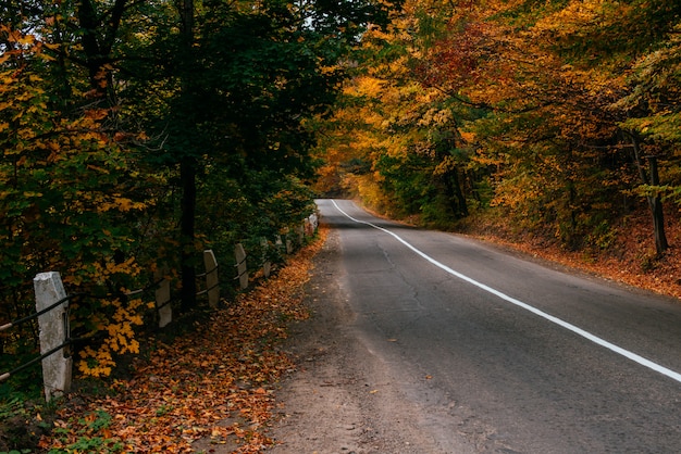 Paesaggio autunnale