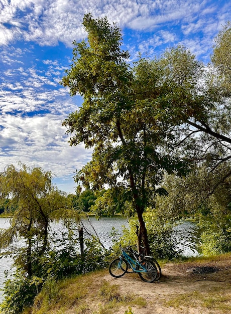 paesaggio bielorusso di foreste e fiumi