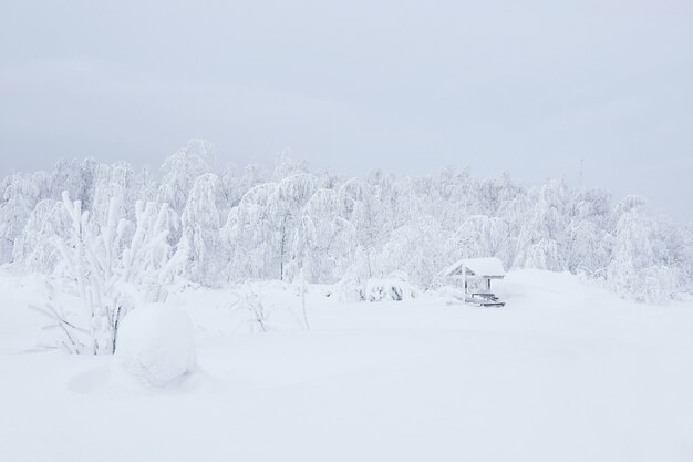 Paesaggio boscoso innevato bianco con gazebo coperto di brina