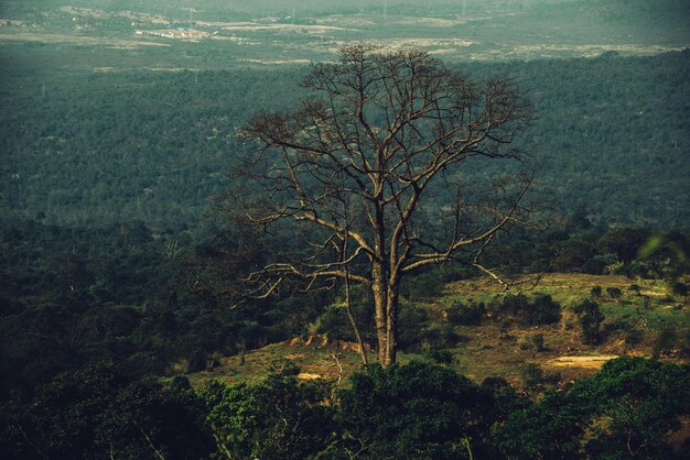 Paesaggio cambogiano asiatico