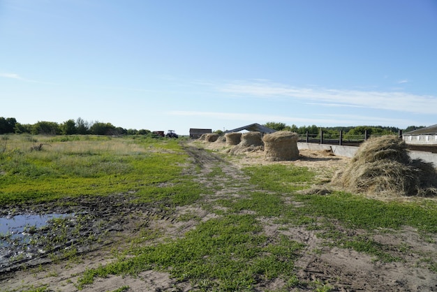 Paesaggio campestre con pagliaio lungo il territorio dell'azienda