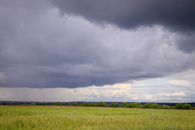 Paesaggio campo estivo. Spazi aperti russi. Prima della tempesta. Scuro cielo piovoso