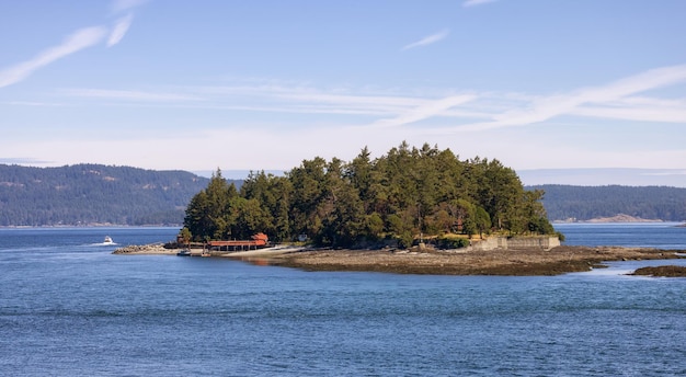 Paesaggio canadese dalla stagione estiva dell'oceano e delle montagne