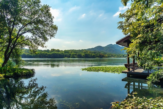 Paesaggio cinese del giardino del lago occidentale di Hangzhou della Cina