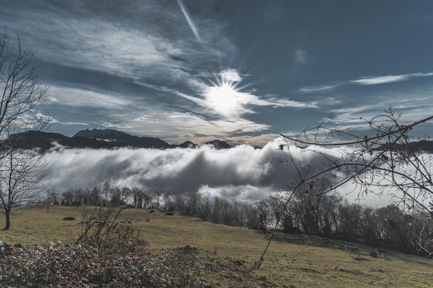 Paesaggio collinare con prati e nuvole