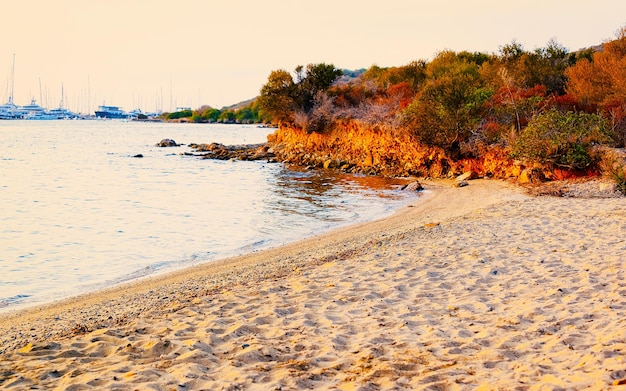 Paesaggio con alba o tramonto in spiaggia sul mare Mediterraneo a Porto Rotondo in Costa Smeralda in Sardegna, Italia. Sardegna in estate. provincia di Olbia. Tecnica mista.