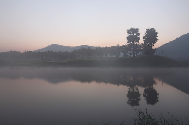 Paesaggio con alberi di montagna e un fiume di fronte al periodo dell'alba