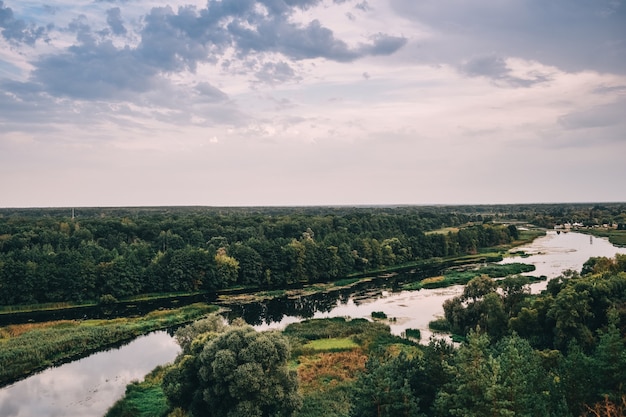 Paesaggio con alberi e fiume