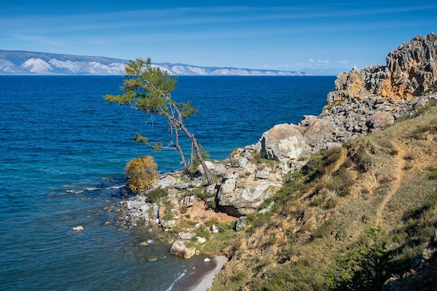 Paesaggio con albero verde e cespuglio giallo vicino a Shamanka Rock sul lago Baikal vicino al villaggio di Khuzhir all'isola di Olkhon a settembre, Siberia, Russia