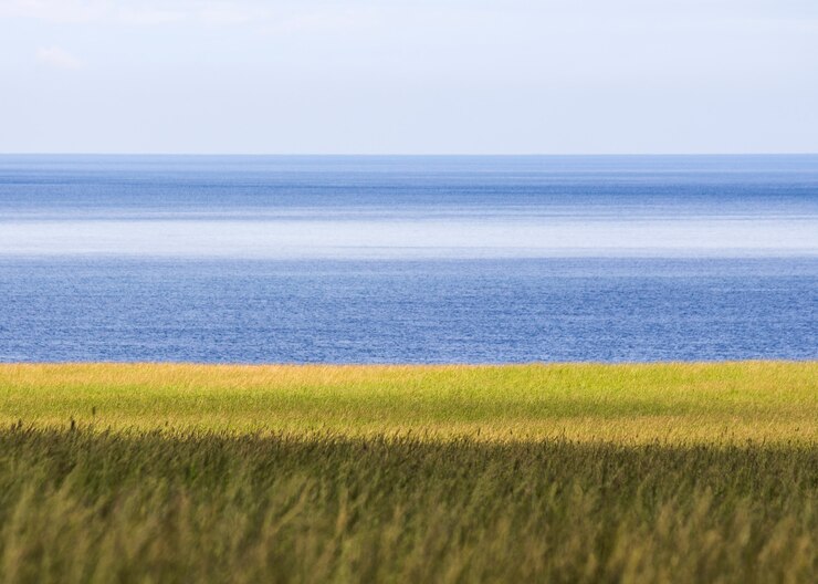 Paesaggio con campi coltivati in primo piano e il mare sullo sfondo