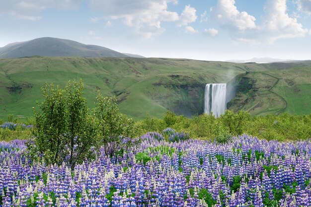 Paesaggio con cascata Skogafoss Islanda