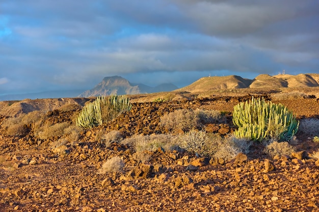 Paesaggio con deserto e montagne al tramonto nell'isola di Tenerife, Canarie