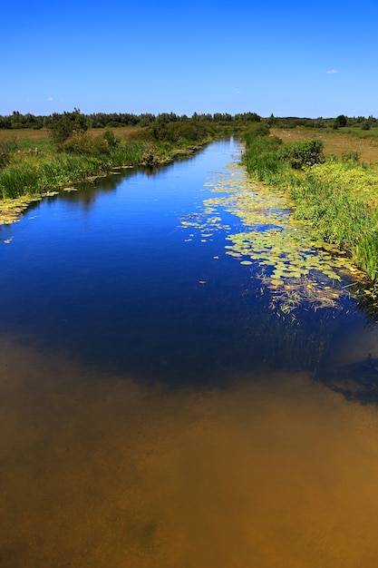 Paesaggio con fiume e cielo in estate.