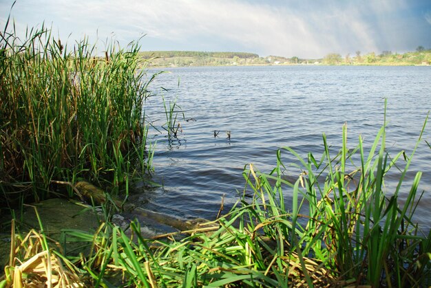 Paesaggio con fiume e cielo nuvoloso blu