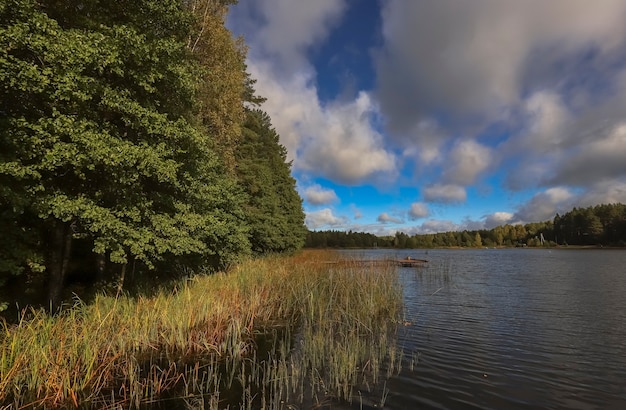 Paesaggio con foresta e corso d'acqua in prospettiva con cielo e nuvole