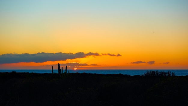 Paesaggio con l'Oceano Atlantico, silhouette della costa con cactus e cielo colorato al tramonto